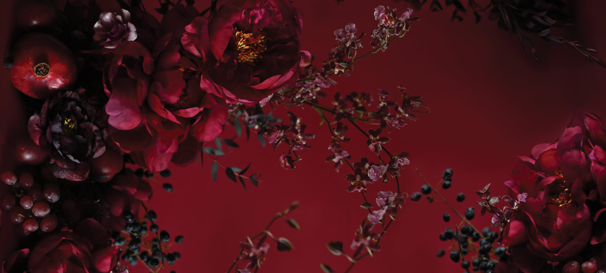 Lunya x Rosandich - Shop the Collaboration